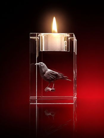 strahlend, LEDs, glasbild, geschenkidee, fotogeschenk, GLASFOTO.COM